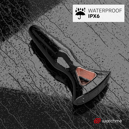 WATCHME PLUG ANAL ALEXANDRU